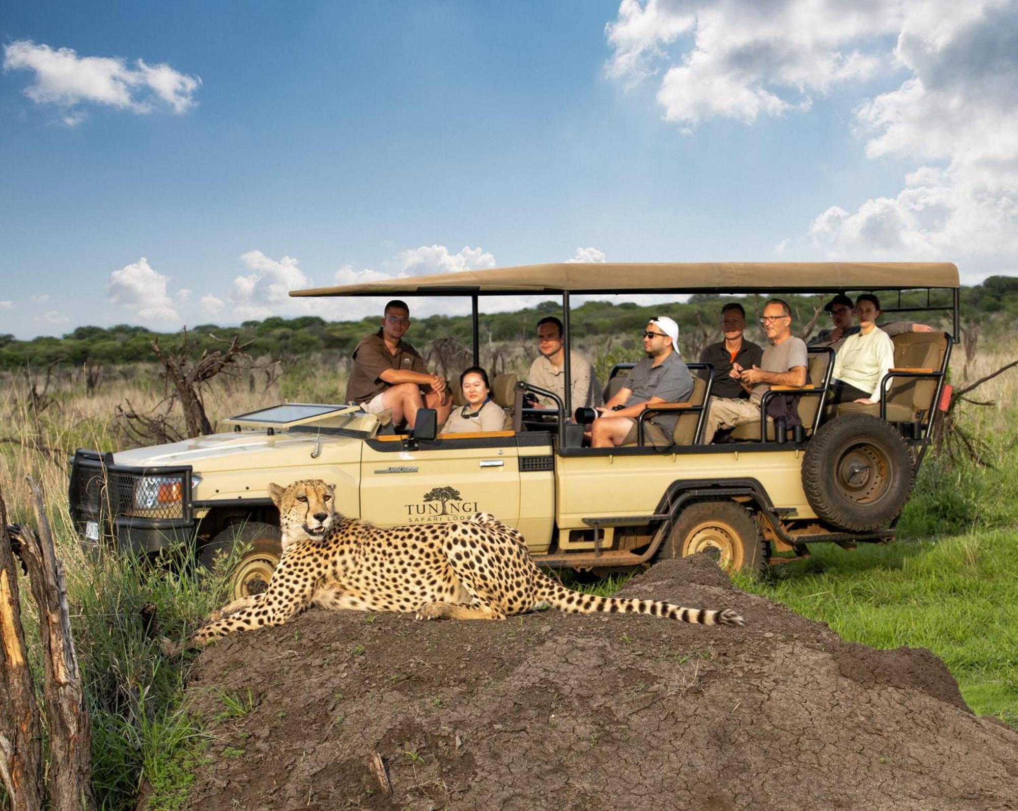 Tuningi Safari Lodge Madikwe Game Reserve Eksteriør billede