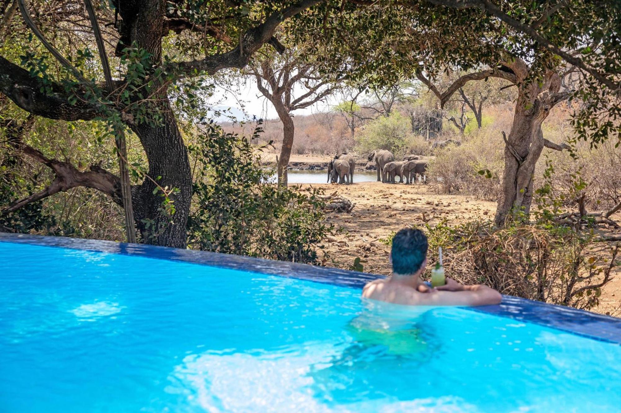 Tuningi Safari Lodge Madikwe Game Reserve Eksteriør billede