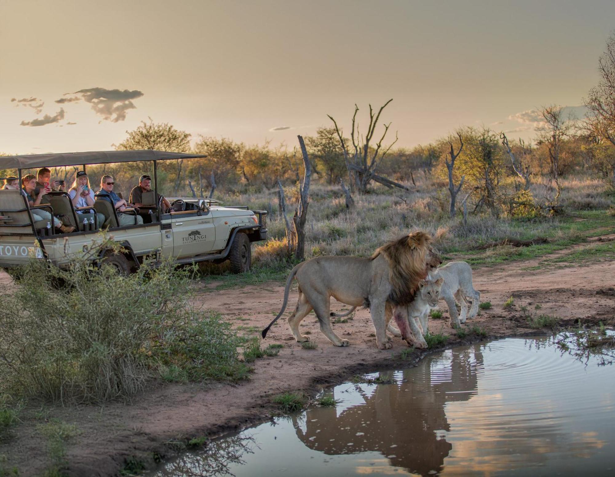 Tuningi Safari Lodge Madikwe Game Reserve Eksteriør billede