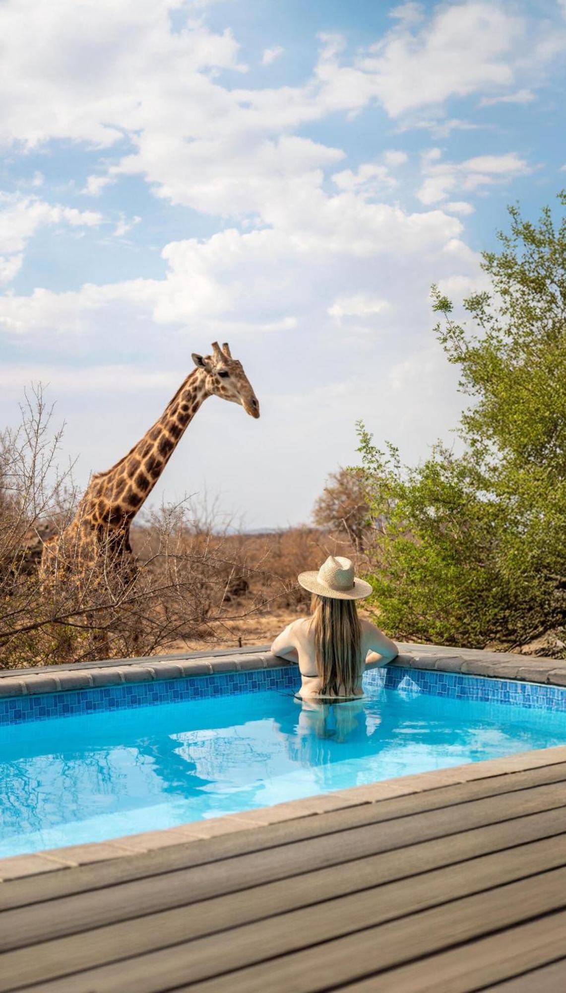 Tuningi Safari Lodge Madikwe Game Reserve Eksteriør billede