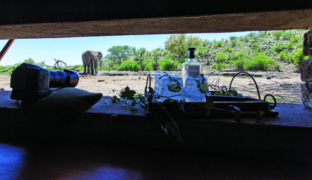 Tuningi Safari Lodge Madikwe Game Reserve Eksteriør billede
